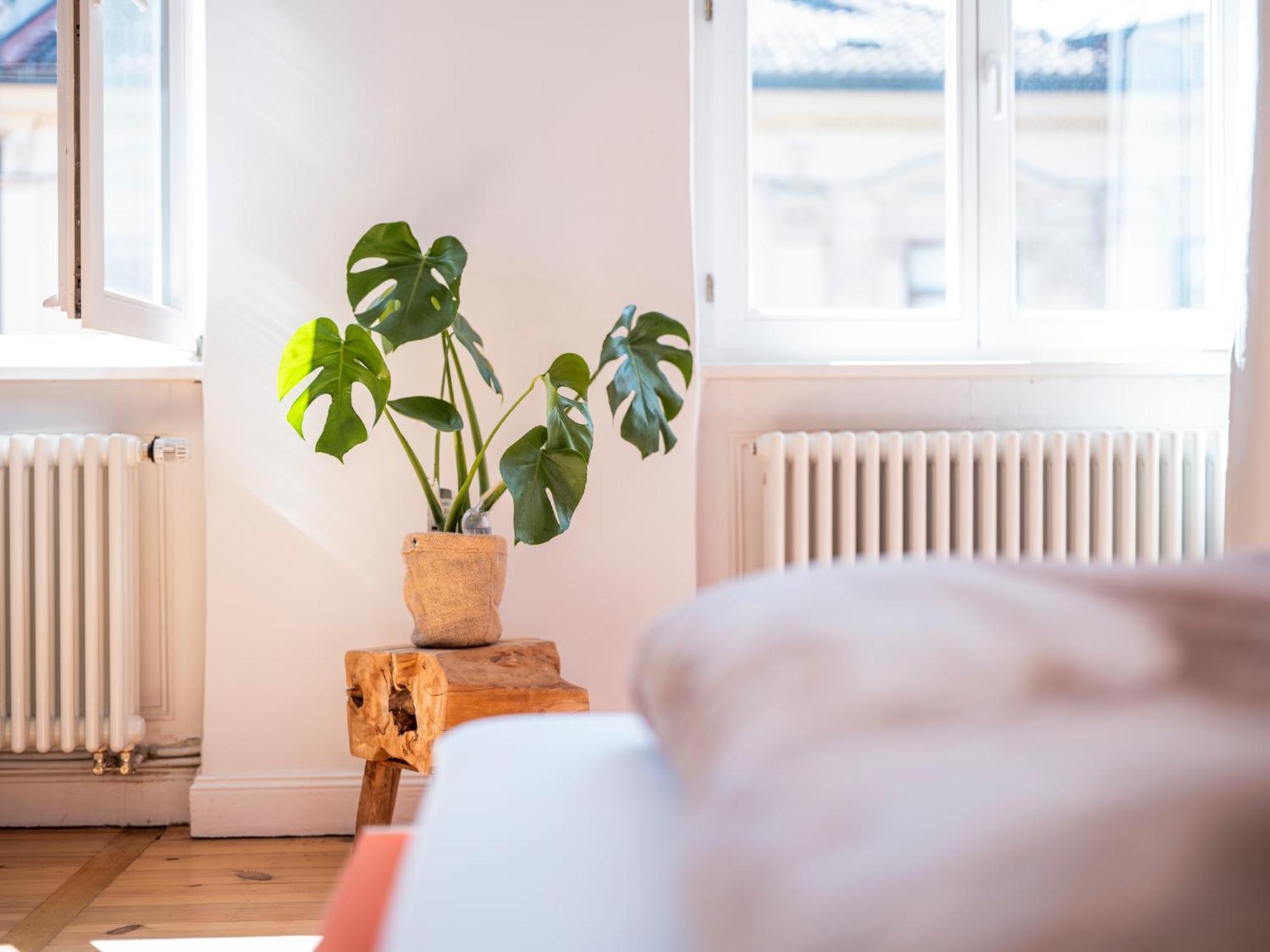 Bunter Hund Apartments - Balkon, Zentral, Geraeumig Bamberg Eksteriør bilde
